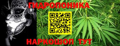 каннабис Усть-Джегута