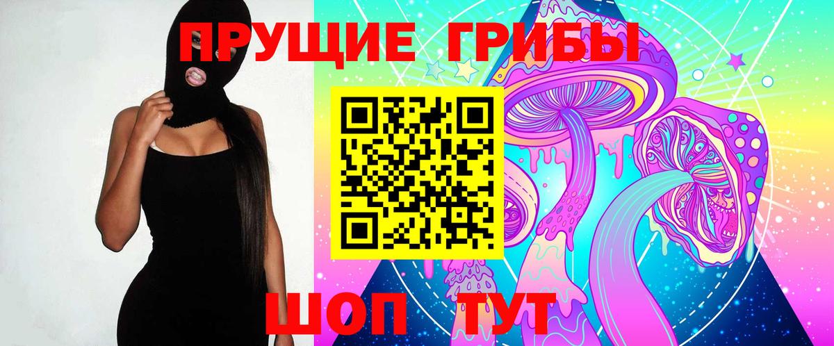 Псилоцибиновые грибы Psilocybe  Вход с VPN  Нововоронеж 