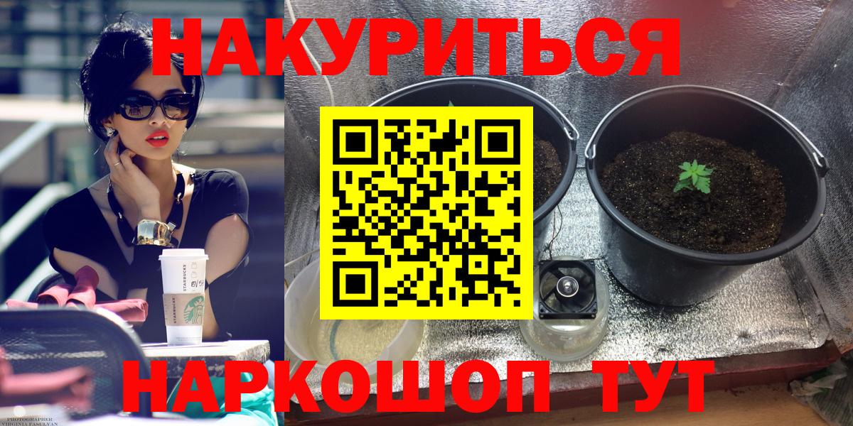 Бошки Шишки марихуана Нововоронеж